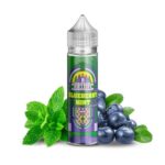 Blueberry Mint 12/60ml - Juicebox
