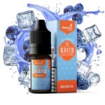 Blue Razz Ice 10ml - Gusto Premium